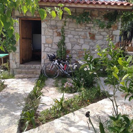 Filoxenia - The Place Of Experience Himare Exterior photo