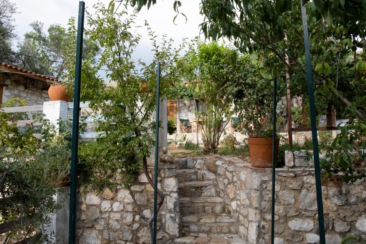 Filoxenia - The Place Of Experience Himare Exterior photo