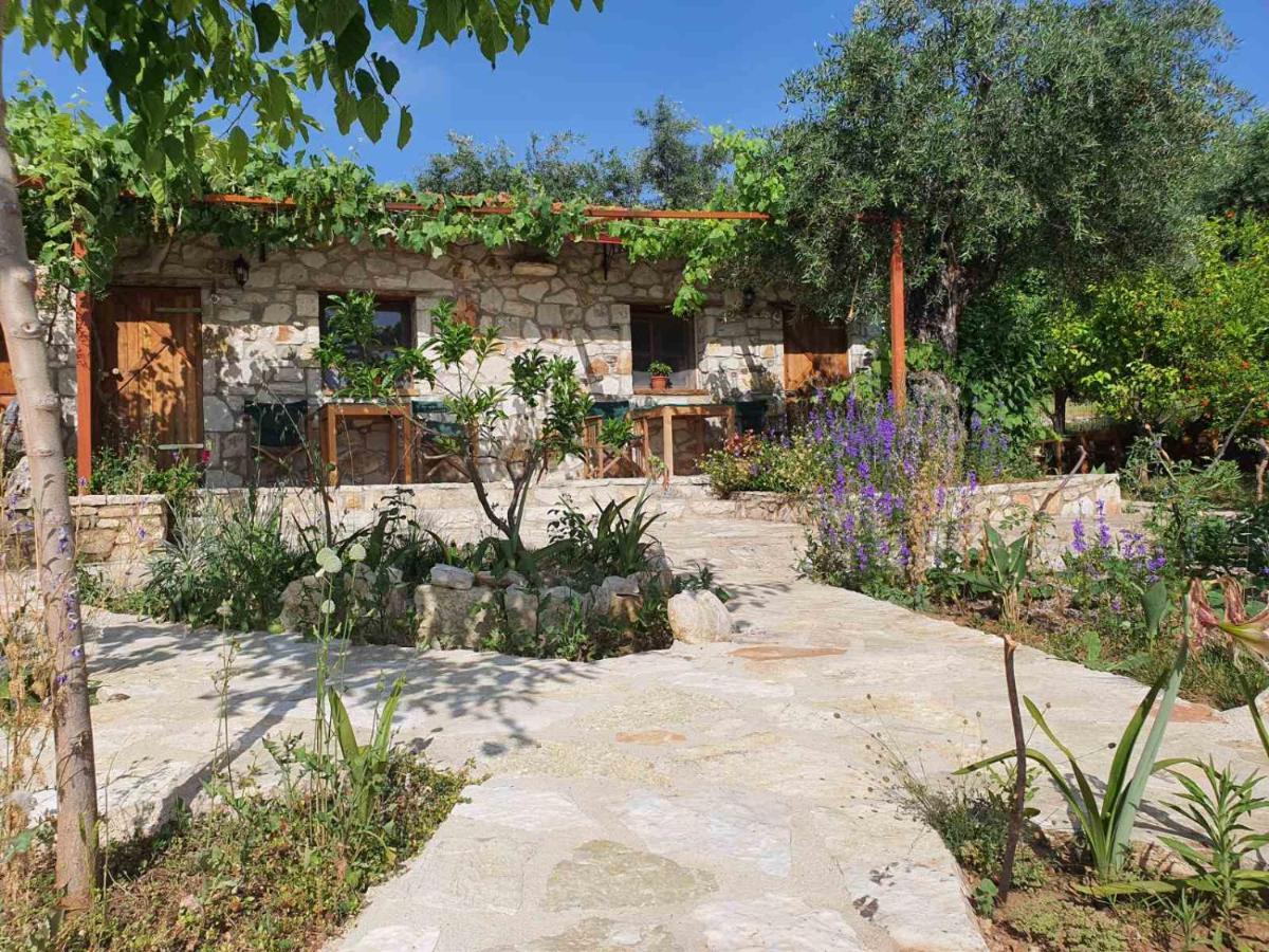 Filoxenia - The Place Of Experience Himare Exterior photo