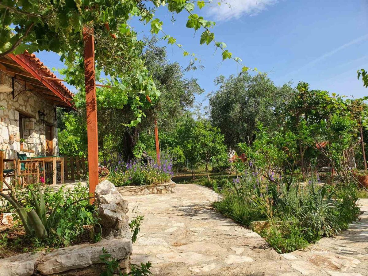 Filoxenia - The Place Of Experience Himare Exterior photo