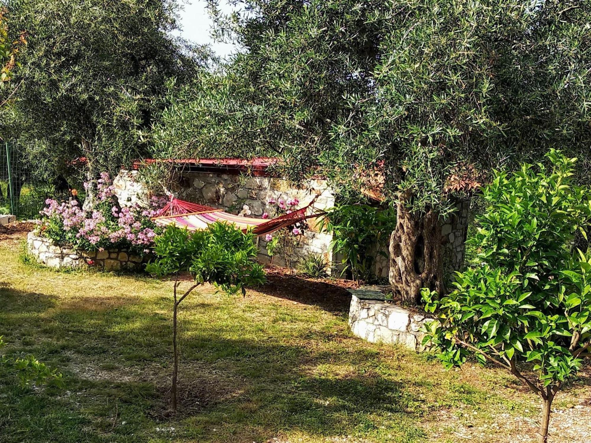 Filoxenia - The Place Of Experience Himare Exterior photo