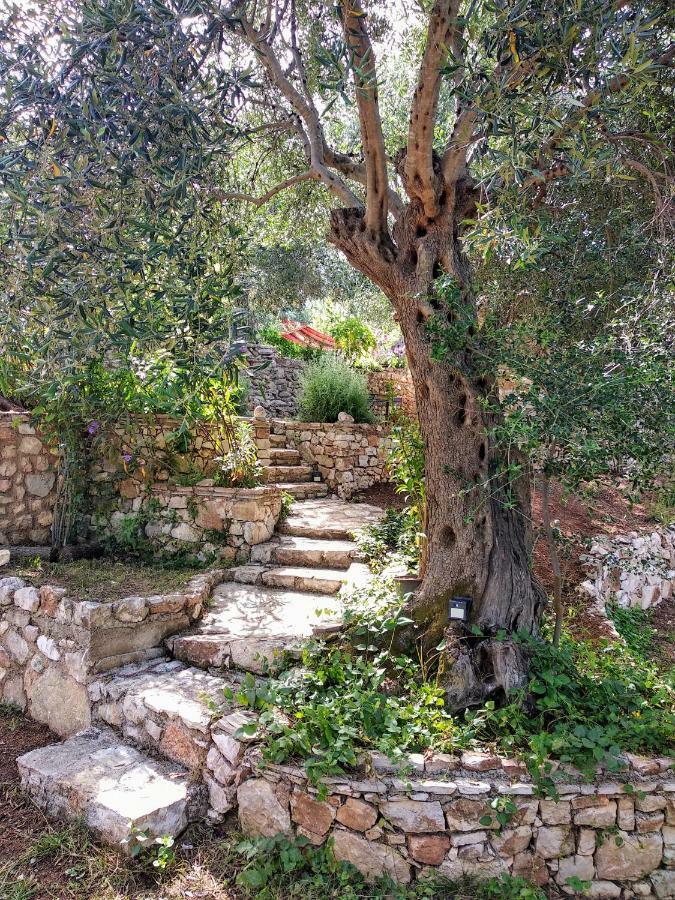 Filoxenia - The Place Of Experience Himare Exterior photo